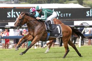 Jennifer Eccles (NZ) heads the NZB Filly of the Year leaderboard. Photo: Trish Dunell.